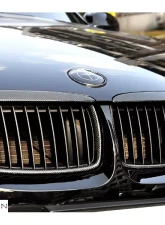 RW Carbon Fiber Grilles BMW 3 Series E90 | E91 2006-2008                                     - bmwe90010 - Image 2