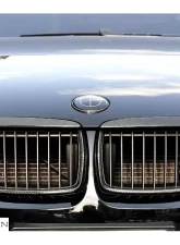 RW Carbon Fiber Grilles BMW 3 Series E90 | E91 2006-2008                                     - bmwe90010 - Image 2