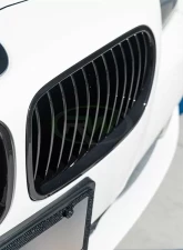 RW Carbon Gloss Black Kidney Grilles BMW F10 5 Series 2011-2017                                     - bmwf10027 - Image 2