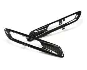 RW Carbon Fiber Fender Trim BMW F10 5 Series 2010-2013