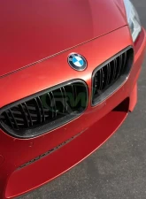 RW Carbon Fiber Grilles BMW 6 Series F06 | F12 | F13 2012-2019                                     - bmwf12003 - Image 6