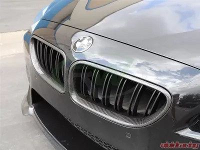 RW Carbon Fiber Grilles BMW 6 Series F06 | F12 | F13 2012-2019 - bmwf12003