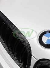 RW Carbon Fiber Grilles BMW F15 X5 | F16 X6 | F85 X5M 2014-2018                                     - bmwf15016 - Image 2