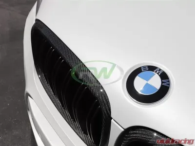 RW Carbon Fiber Grilles BMW F15 X5 | F16 X6 | F85 X5M 2014-2018 - bmwf15016