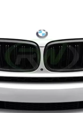 RW Carbon Fiber Grilles BMW F15 X5 | F16 X6 | F85 X5M 2014-2018                                     - bmwf15016 - Image 3