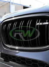 RW Carbon Fiber Grilles BMW F15 X5 | F16 X6 | F85 X5M 2014-2018                                     - bmwf15016 - Image 5
