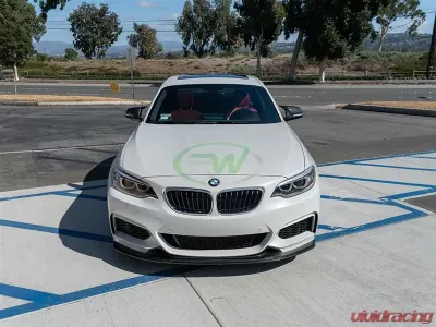 RW Carbon Exotics Style CF Front Lip Spoiler w/ SLiPLO Anti-Scrape Kit BMW F22 | F23 2 Series 2014-2021 - bmwf22014-1