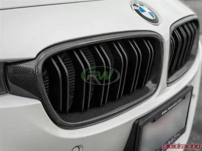 RW Carbon Double Slat Carbon Fiber Grilles BMW F30 | F31 2012-2018 - bmwf30036