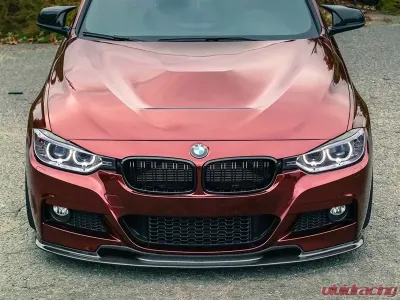 RW Carbon GTS Style Aluminum Hood BMW F30 | F32 | F36 2012-2020 - bmwf30042
