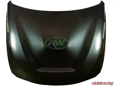 RW Carbon GTS Style Aluminum Hood BMW F30 | F32 | F36 2012-2020 - bmwf30042