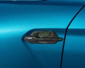 RW Carbon Fiber Fender Trims BMW F87 M2 2016-2018