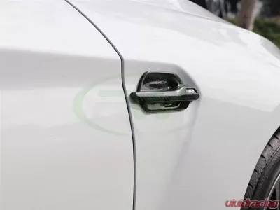 RW Carbon Fiber Fender Trims BMW F87 M2 2016-2018 - bmwf8706