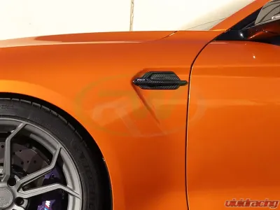 RW Carbon Fiber Fender Trims BMW F87 M2 2016-2018 - bmwf8706