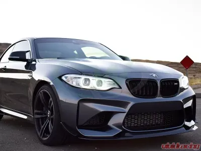 RW Carbon Fiber Canards BMW F87 M2 2016-2018 - bmwf8709