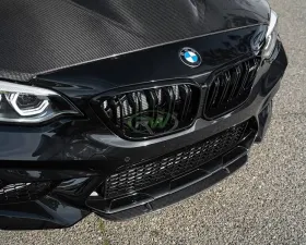 RW Carbon Center Carbon Fiber Front Lip Spoiler BMW F87 M2 2016-2018