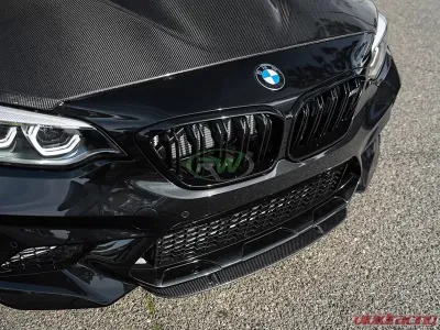 RW Carbon Center Carbon Fiber Front Lip Spoiler BMW F87 M2 2016-2018 - bmwf8714