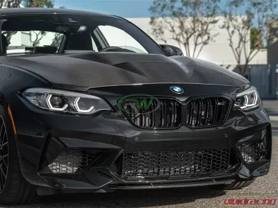 RW Carbon Center Carbon Fiber Front Lip Spoiler BMW F87 M2 2016-2018 - bmwf8714