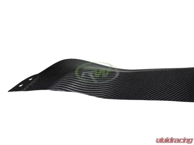 RW Carbon DTM Carbon Fiber Rear Diffuser BMW F87 M2 2016-2019 - bmwf8727