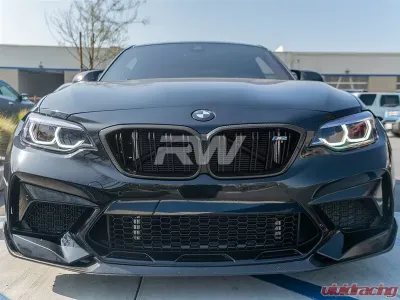 RW Carbon Competition Carbon Fiber Grille BMW F87 M2 2019+ - bmwf8728