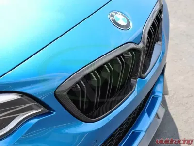 RW Carbon Competition Carbon Fiber Grille BMW F87 M2 2019+ - bmwf8728