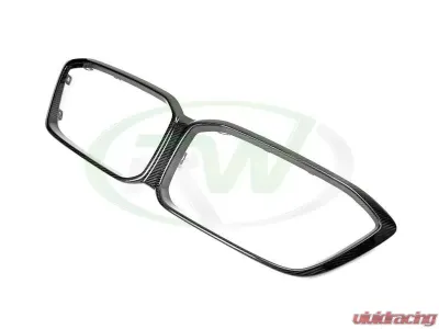 RW Carbon Competition Carbon Fiber Grille BMW F87 M2 2019+ - bmwf8728