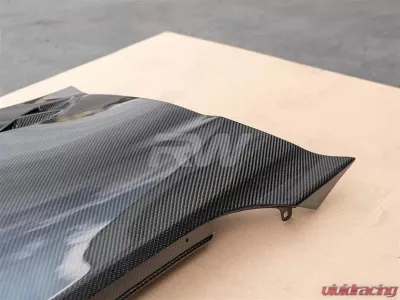 RW Carbon Fiber Fenders BMW F87 M2 2016-2019 - bmwf8731