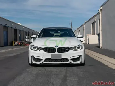 RW Carbon 3D Style Carbon Fiber Front Lip w/ SLiPLO Anti-Scrape Kit BMW F8X M3 | M4 2015-2020 - bmwf8x009-1