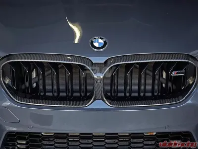 RW Carbon Fiber Grille Surrounds BMW F90 M5 2021-2022 - bmwf90028