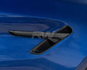 RW Carbon Fiber Fender Trims BMW F90 M5 2018-2022