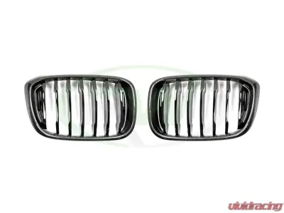 RW Carbon Fiber Grilles BMW G01 X3 | G02 X4 2018-2021 - bmwg0104