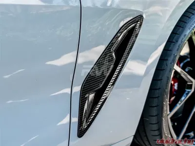 RW Carbon Fiber Fender Trims BMW G14 | G15 | G16 8 Series 2019-2023 - bmwg15001