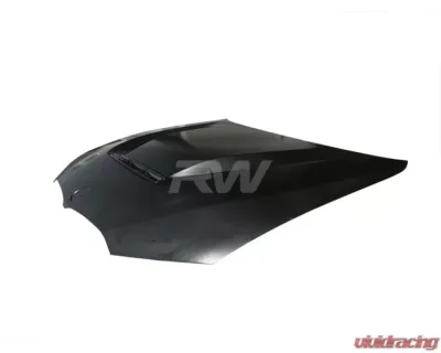 RW Carbon DTM Aluminum Hood BMW 330i | M340i G20 3-Series 2019-2023 - bmwg20041