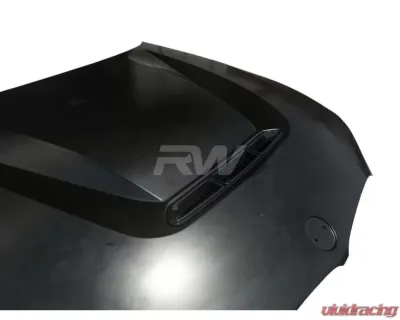 RW Carbon DTM Aluminum Hood BMW 330i | M340i G20 3-Series 2019-2023 - bmwg20041