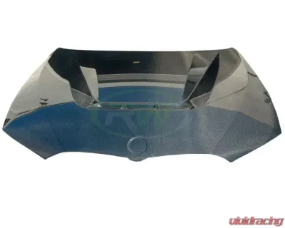 RW Carbon DTM Carbon Fiber Hood BMW 330i | M340i G20 3-Series 2019-2023 - bmwg20046