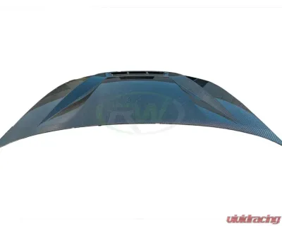 RW Carbon DTM Carbon Fiber Hood BMW 330i | M340i G20 3-Series 2019-2023 - bmwg20046