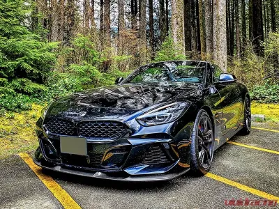 RW Carbon 3D Style Carbon Fiber Front Lip BMW G29 Z4 2018-2022 - bmwg2906