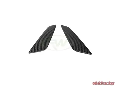 RW Carbon Fiber Side Vent Cover BMW G30 5 Series 2017-2020 - bmwg30012