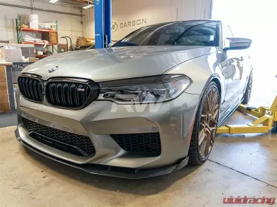 RW Carbon Fiber Eyelids BMW G30 5 Series 2017-2020 - bmwg30028