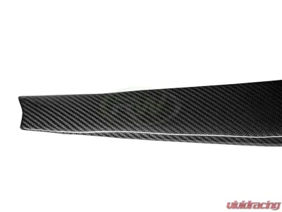 RW Carbon Fiber Eyelids BMW G30 5 Series 2017-2020 - bmwg30028
