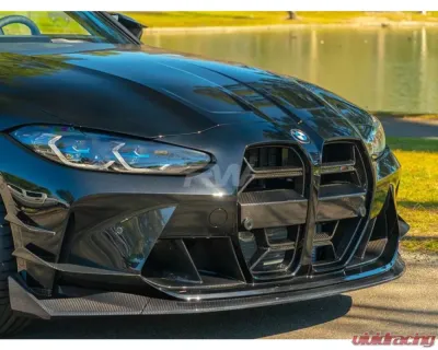 RW Carbon CSL Style Carbon Fiber Grille BMW G8X M3 | M4 2021-2024 - bmwg8x06