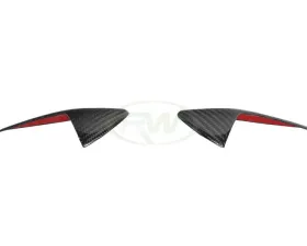 RW Carbon Fiber Fender Trim Covers Tesla Model 3 2017+