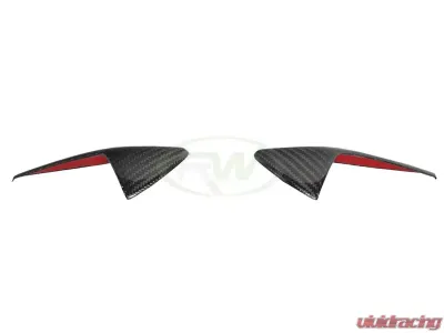 RW Carbon Fiber Fender Trim Covers Tesla Model 3 2017+ - tesla015