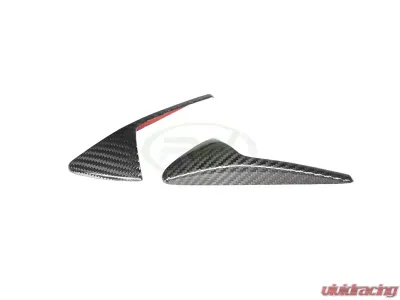 RW Carbon Fiber Fender Trim Covers Tesla Model 3 2017+ - tesla015