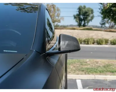 RW Carbon Carbon Fiber Mirror Covers Tesla Model Y 2020-2023 - tesla023