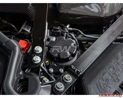 RW Carbon CF Coolant Tank Cap Cover BMW - bmwf90018