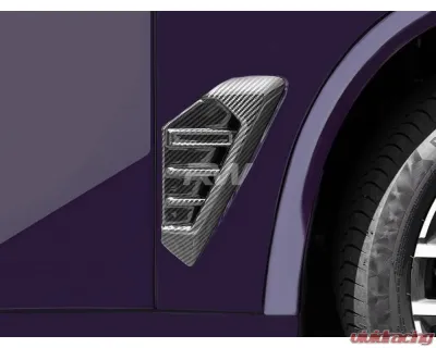RW Carbon CF Fender Trims BMW X5 | X5M 2024+ - bmwg05014