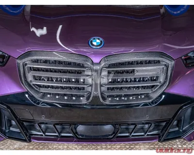 RW Carbon CF Grille BMW X5 2024+ - bmwg0518