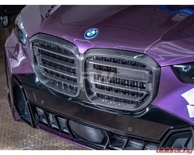 RW Carbon CF Grille BMW X5 2024+ - bmwg0518