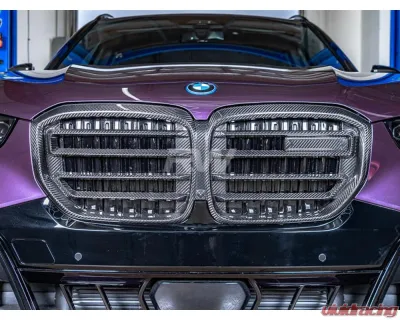 RW Carbon CF Grille BMW X5 2024+ - bmwg0518
