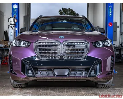 RW Carbon CF Grille BMW X5 2024+ - bmwg0518